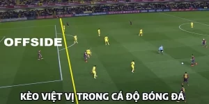 https://psg777.me/